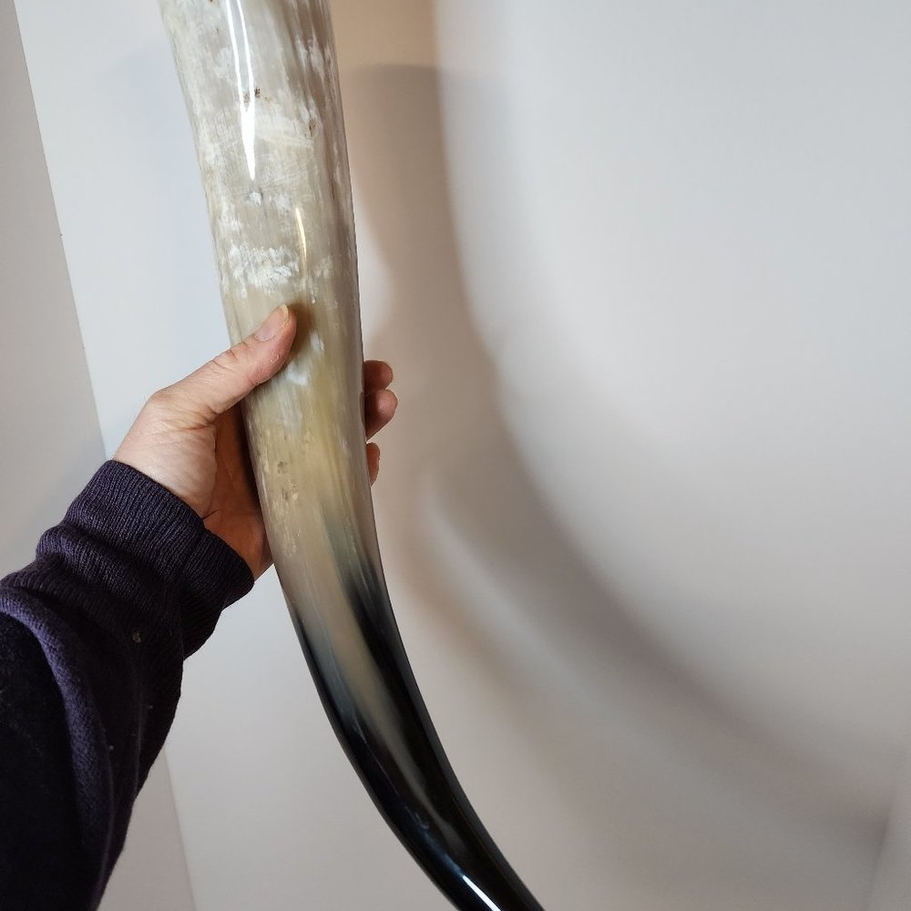 Water Buffalo Viking Drinking Horn 21-27 inch (HR100-25)